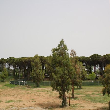 Levante Marina di Schiavonea Exterior foto